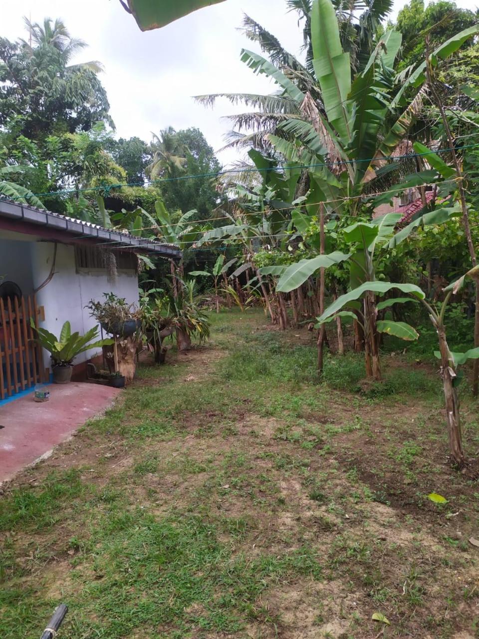 Villa S Guest à Mirissa Extérieur photo